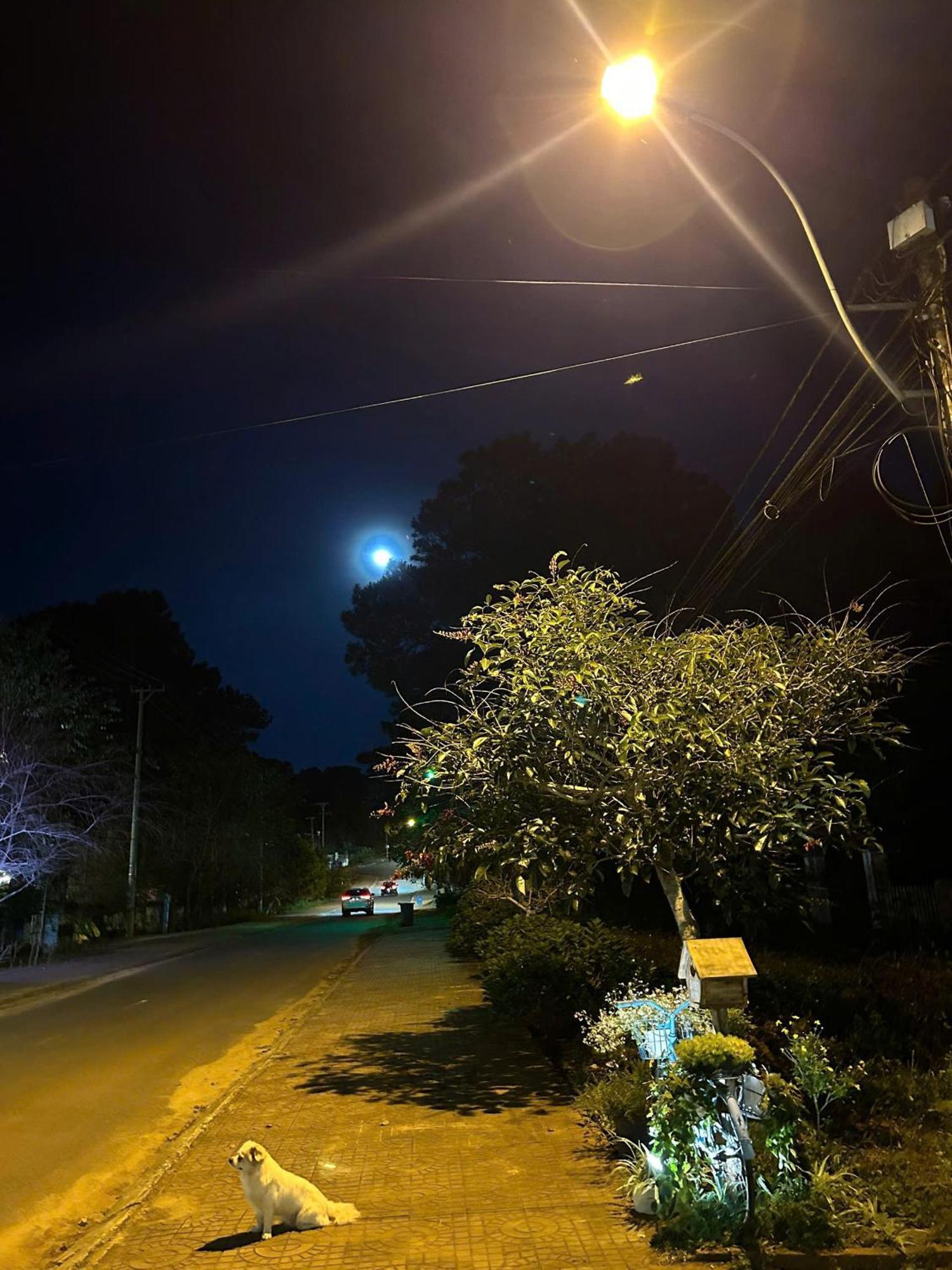 Chino Homestay Mang Den - Villa Tai Mang Den Kon Tum Экстерьер фото